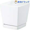 クエンチローポット 4号 ホワイト(1コ入)【クエンチ】
