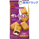 ブルボン ガトーレーズン(5コ入)