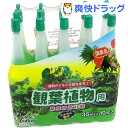 ヨーキ産業 活力剤アンプル 観葉植物用(35ml*10本入)