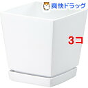 クエンチローポット 4号 ホワイト(1コ入*3コセット)【クエンチ】