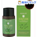 　アーユルヴェーダ トリートメントオイル 50mL★税込3150円以上で送料無料★