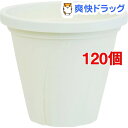 根はり鉢 5号 ホワイト(120個セット)【大和プラスチック】