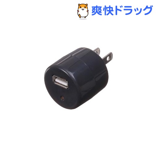 AC／USB変換アダプター 黒 HM100BKUSB(1コ入)