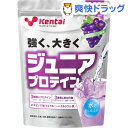 ケンタイ ジュニアプロテイン グレープ風味(700g)【kentai(ケンタイ)】【送料無料】