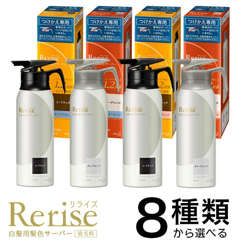 Rerise（リライズ） 白髪用髪色サーバー(本体155g or 付け替え190g)×1個