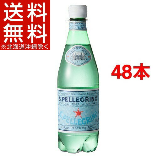 サンペレグリノ ペットボトル 炭酸水(500mL*24本入*2コセット)【HLS_DU】【サンペレグリノ(s.pellegrino)】[ミネラルウォーター 水 激安 48本入]【送料無料（北海道・沖縄は除く）】