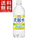 伊賀の天然水炭酸水 レモン(500mL*24本入)【サンガリア 天然水炭酸水】【送料無料(北海道、沖縄を除く)】