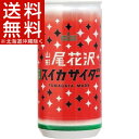 山形尾花沢ニュースイカサイダー(200mL*30本入)【山形...