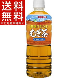 健康ミネラルむぎ茶(600mL*24本入)【送料無料(北海道、沖縄を除く)】