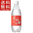 【訳あり】国産 天然水仕込みの炭酸水 ローズヒップ(500m...