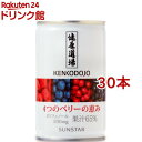 健康道場 4つのベリーの恵み(160g*30コセット)