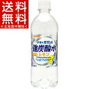 サンガリア 天然水強炭酸水レモン(500mL*24本入)【サンガリア 天然水炭酸水】【送料無料(北海道、沖縄を除く)】