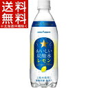 サッポロ おいしい炭酸水 レモン(500mL*24本入)[炭...