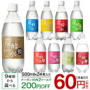 国産 天然水仕込みの炭酸水(500mL*24本入)【送料無料(北海道、沖縄を除く)】【rdkai_04】