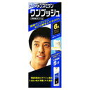 【10000円以上で本州・四国送料無料】hoyu ホーユー メンズビゲン ワンプッシュ 6A アッシュブラウン