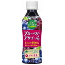伊藤園 太陽のスーパーフルーツ ブルーベリー&アサイーミックス 265g ペットボトル *24本(1ケース)