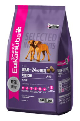 [Jko `24p ^@嗱@q@p @13.5kg