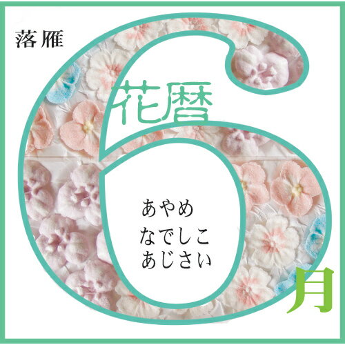 落雁　6月の花　あやめ　なでしこ　あじさい【和菓子】【干菓子】【和三盆】【贈り物】...:sousaku-you:10000101