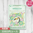 カタログギフト エメラルド (宅配便) 30800円コース ...