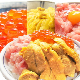 【年中無休 即日発送】母の日 海鮮丼 生ウニ100g、ネギトロ100g、イクラの醤油漬95gの福袋。手巻き寿司。海産物をプレゼントに海の幸。<strong>魚</strong>介 ワンランク上の贈り物(うに/ねぎとろ/いくら)に 誕生日 手土産 ギフト 送料無料 お返し あす楽 <strong>冷凍</strong>グルメ ギフト