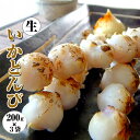 【イカトンビ】日本海で水揚げされた国産いかの 口ばし。海産物...