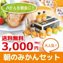 早和果樹園 朝のみかんセット(N)【 内祝い ゼリー みかんジュース フルーツゼリー みかんゼリー ジャム ポン酢 】【 御祝 お土産 お歳暮 送料無料 】【RCP】