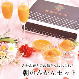 母の日 詰め合わせ セット ギフト 送料無料 ギフト スイーツ ゼリー 内祝い 手土産 みかん<strong>ジュース</strong> 御供え 朝のみかんセット 結婚内祝 出産内祝 誕生日 快気祝 お取り寄せ 和歌山 早和果樹園