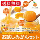 早和果樹園 お試しみかんセット(R)【2セットでジュース1本◆3セット以上でセット数分ジュースのおまけ付】【 ゼリー みかんジュース フルーツゼリー みかんゼリー ジャム 飲むみかん 送料無料 お試しセット 】【 和歌山 有田のみかん 】