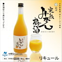 紀州 完熟みかん梅酒(リキュール)【RCP】