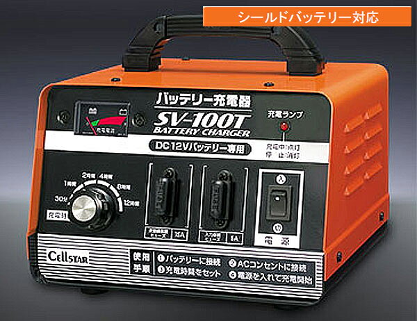 륹ñХåƥ꡼ŴSV-100TDC12V 10A