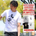 Tシャツ メンズ ディズニー ミッキー ドナルド