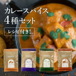 【メール便】 スパイスセット カレー レシピ付き 約100皿分 カレー スパイス 4種 セット 各種チャック袋入り｜ スパイスカレー 手作り 初心者 ターメリック クミン コリアンダー ガラムマサラ 粉末 各100g <strong>カレー粉</strong> カレーパウダー カレーキット 辛味