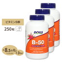 [3個セット] ビタミンB-50 250粒 約8ヶ月分 [お得サイズ] B群11種 葉酸 ナイアシン ビオチン パントテン酸 PABA コリン イノシトール ベジカプセル