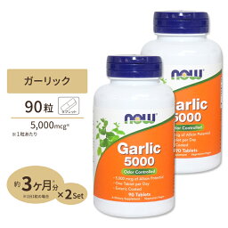 [2個セット] <strong>ガーリック</strong>（ニンニク）5,000mcg 90粒 <strong>NOW</strong> Foods(ナウフーズ)