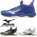 【あす楽】【送料無料】 MIZUNO ミズノ バレーボールシューズ WAVE MMENTUM ウエーブモーメンタム V1GA1912