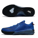 ナイキ NIKE バスケットボールシューズ メンズ ズーム ...