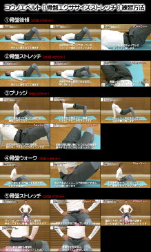 コウノエベルト デサント 腰用 1500タイプ 骨盤用 レギュラータイプ 骨盤矯正 腰ベルト バランス 西武 中島 鴻江ベルト ゴルフ 野球 バレー 栗原【dat-8100】