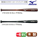 ミズノ 硬式野球用 木製バット 〈ビクトリーステージ〉バンブー 【お取寄せ品】 2TW12258-58(84cm/平均920g)2TW12255-09(85cm/平均920g) ●16