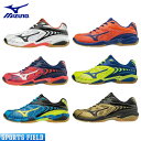 【2018NEW・限定】バドミントンシューズ ミズノ MIZUNO ウエーブファング SS2 71GA171