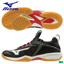 MIZUNO ミズノ バドミントンシューズ ウェーブクロー NEO 71GA207009