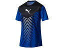 プーマ:【メンズ&レディース】FTBLTRG グラフィック SS トレーニング【PUMA サッカー 半袖 プラクティスシャツ】【あす楽_土曜営業】【あす楽_日曜営業】