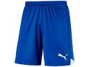 プーマ:【メンズ&レディース】FTBLTRG ショーツ【PUMA サッカー プラクティスパンツ】【あす楽_土曜営業】【あす楽_日曜営業】