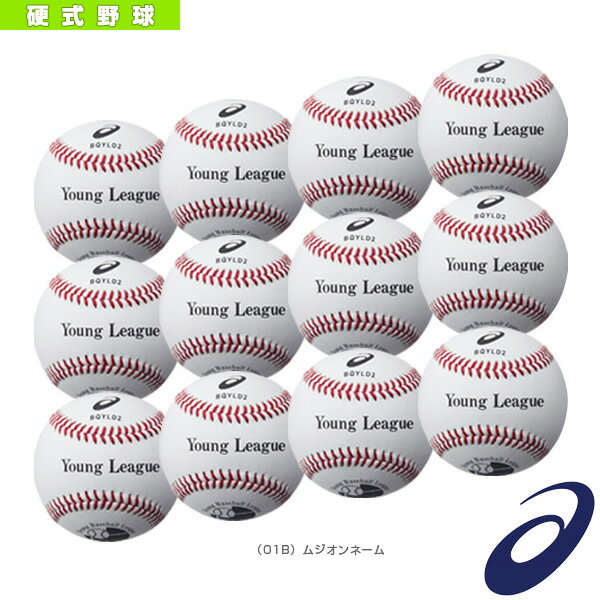 【野球 ボール アシックス】【ネーム入れ】『1ダース・12球入』硬式野球ボール／ヤングリーグ試合用（BQYLD2）の画像