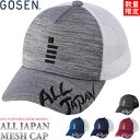 【4/9 20時〜4h限定！全品5%OFFクーポン発行中】即日発送 数量限定 GOSEN ゴーセン ソ