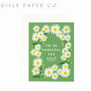 ライフルペーパー RIFLE PAPER CO. グリーティングカード greeting card デイジー サンキュー フォーユ Daisies Thankful for Youメッセージカード 手紙 ブランド デザイナーズ カード アメリカ 海外 GCT049ギフト プレゼント 誕生日 お祝い