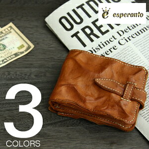 esperanto(GXyg)nhEHbVU[܂EHbg(܂z)ᑗE萔