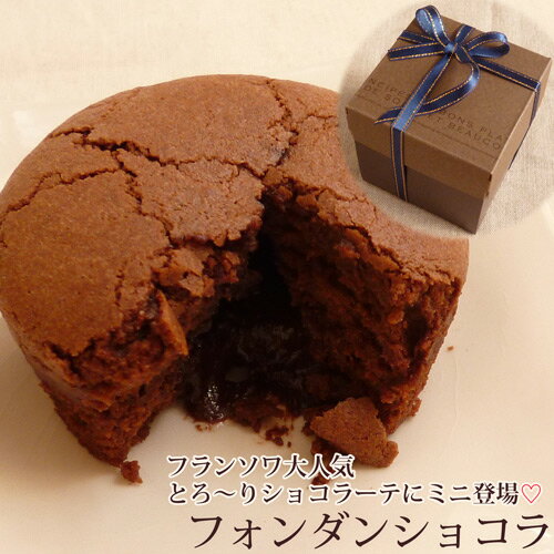 フォンダンショコラ　ミニ電子レンジで温めるチョコレートケーキ