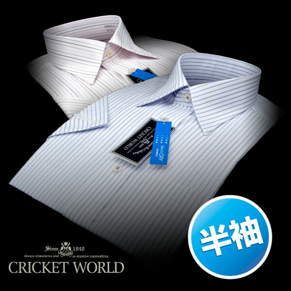 【CRICKET WORLD】 1枚1,995円・形態安定加工・半袖レギュラーカラー・ストライプシャツ（クールビズワイシャツ/半袖Yシャツ/半袖ドレスシャツ/半袖カッターシャツ）●形態安定加工●ネクタイとの相性が良いレギュラーカラーを、ストライプ柄で【半袖ドレスシャツ/ワイシャツ/Yシャツ/白シャツ】