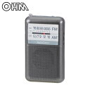 流行 生活 雑貨 AM/FMポケットラジオ グレー RAD-P122N-H
