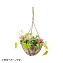収納用品関連 吊るしてオシャレなバスケット